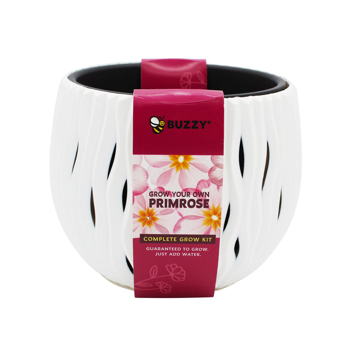 Primrose Flower Grow Kit | Decorative Wavy Pot