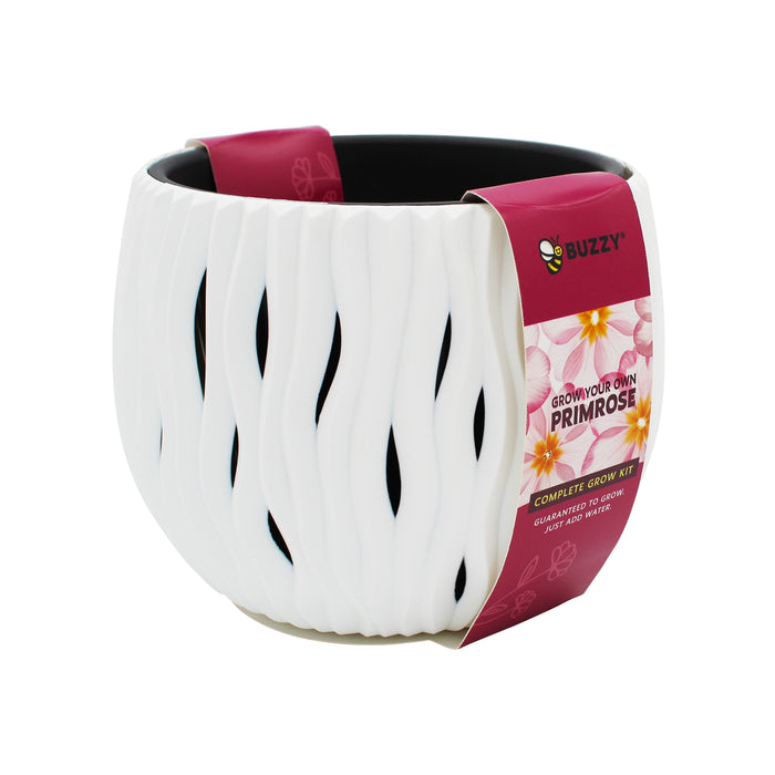 Primrose Flower Grow Kit | Decorative Wavy Pot