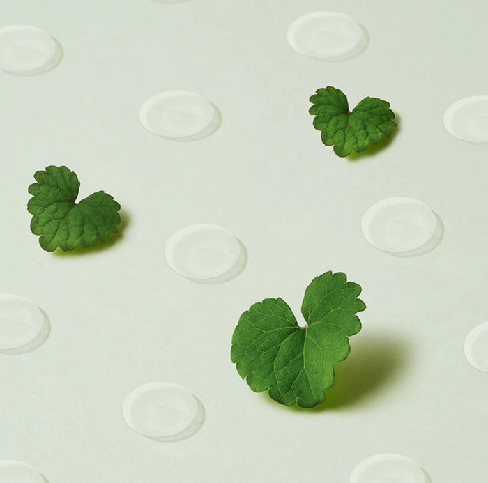 PURITO Wonder Releaf Centella Spot Patch لصقة علاج الحبوب من بيوريتو