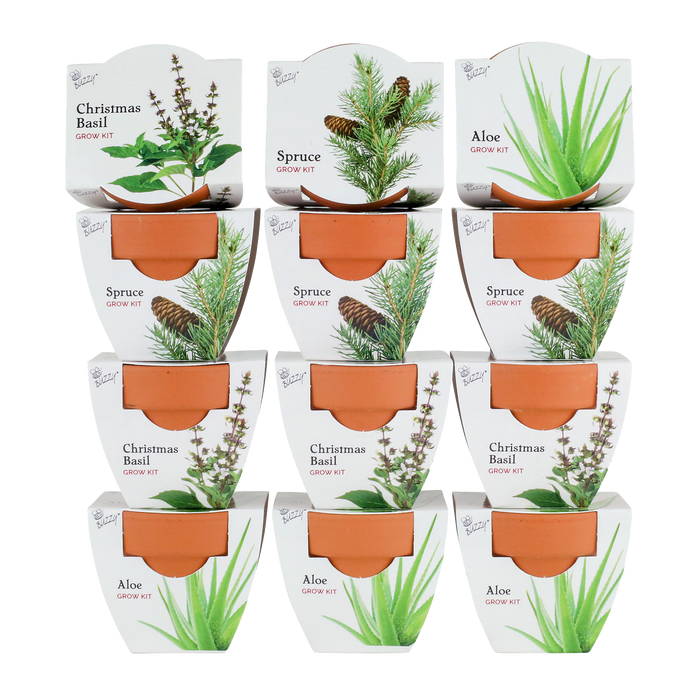 Radiant Mini Terracotta Pots | Assorted (12 Pack)