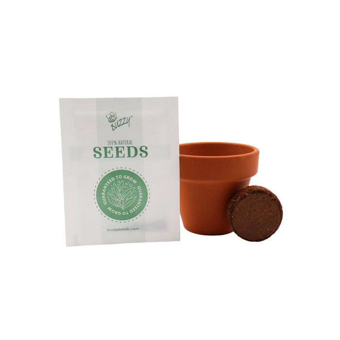 Radiant Mini Terracotta Pots | Assorted (12 Pack)