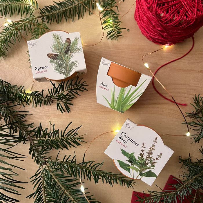 Radiant Mini Terracotta Pots | Assorted (12 Pack)