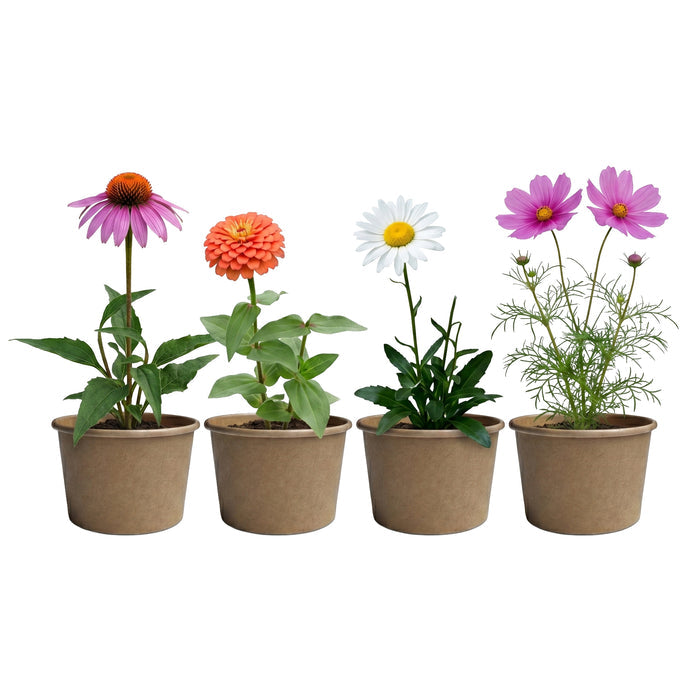 Save The Bees Pollinator Flower Grow Kits | Paper Cups (12 Pack)