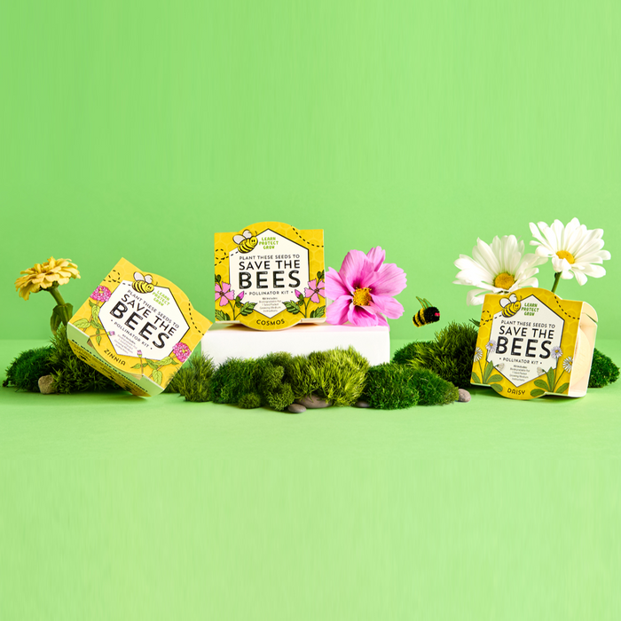 Save The Bees Pollinator Flower Grow Kits | Paper Cups (12 Pack)