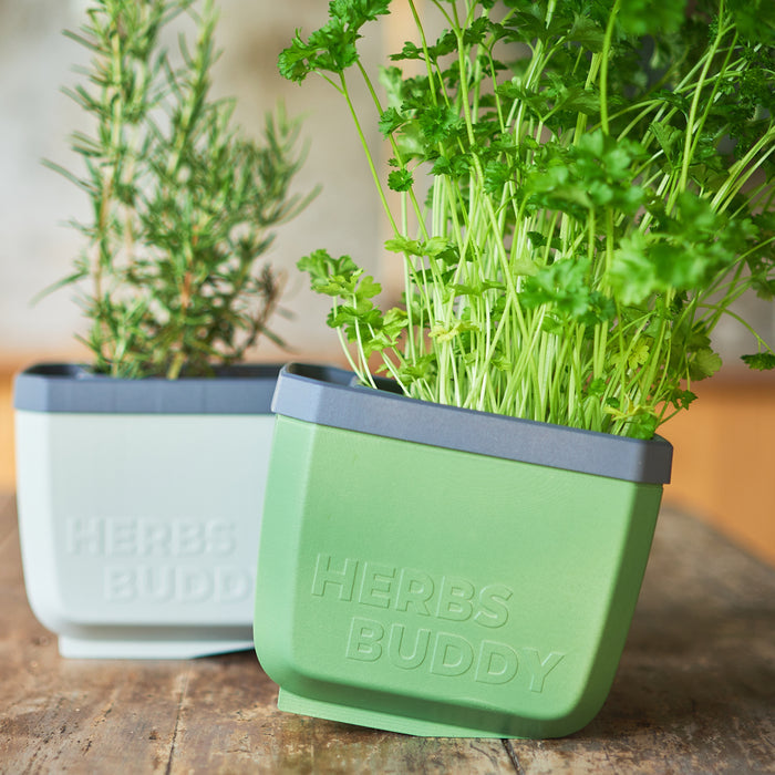 Self-Watering Herb Planters | Indoor Herb Garden (3 Pack)