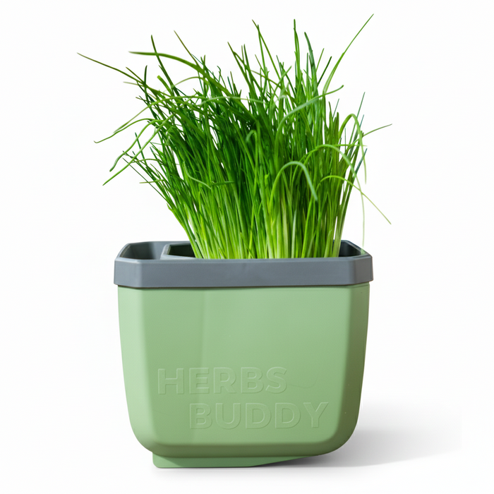 Self-Watering Herb Planters | Indoor Herb Garden (3 Pack)