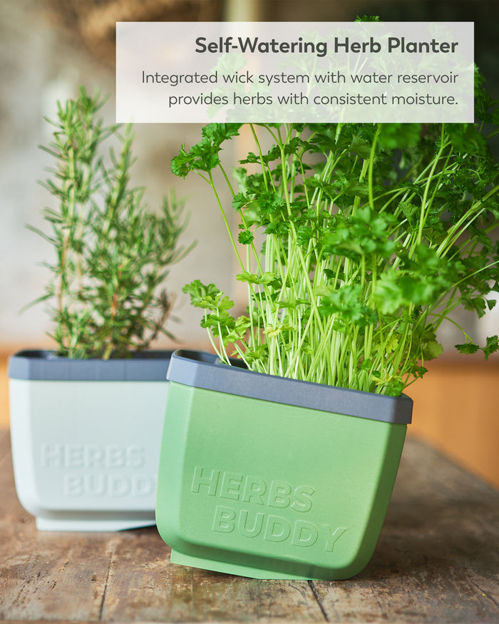 Self-Watering Herb Planters | Indoor Herb Garden (3 Pack)