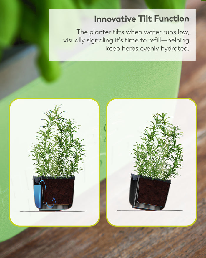 Self-Watering Herb Planters | Indoor Herb Garden (3 Pack)