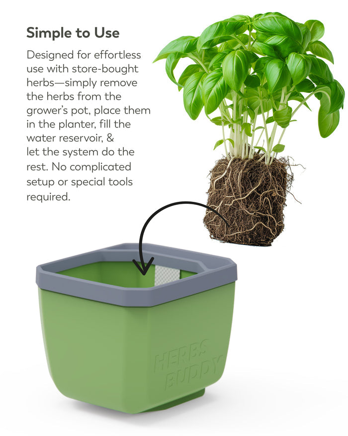 Self-Watering Herb Planters | Indoor Herb Garden (3 Pack)