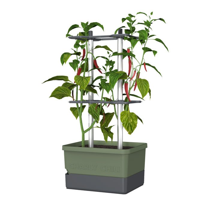 Self-Watering Pepper Planter | Trellis Garden for Small Spaces