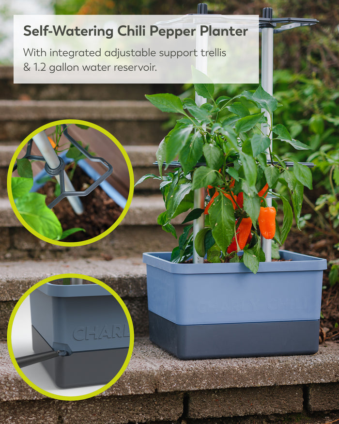 Self-Watering Pepper Planter | Trellis Garden for Small Spaces