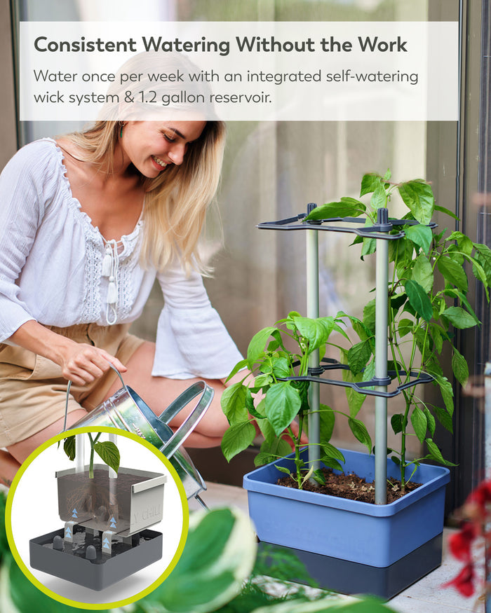 Self-Watering Pepper Planter | Trellis Garden for Small Spaces