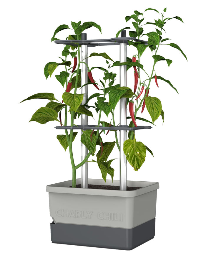 Self-Watering Pepper Planter | Trellis Garden for Small Spaces