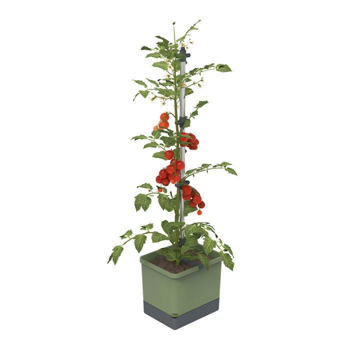 Self-Watering Tomato Planter | Trellis Garden for Small Spaces