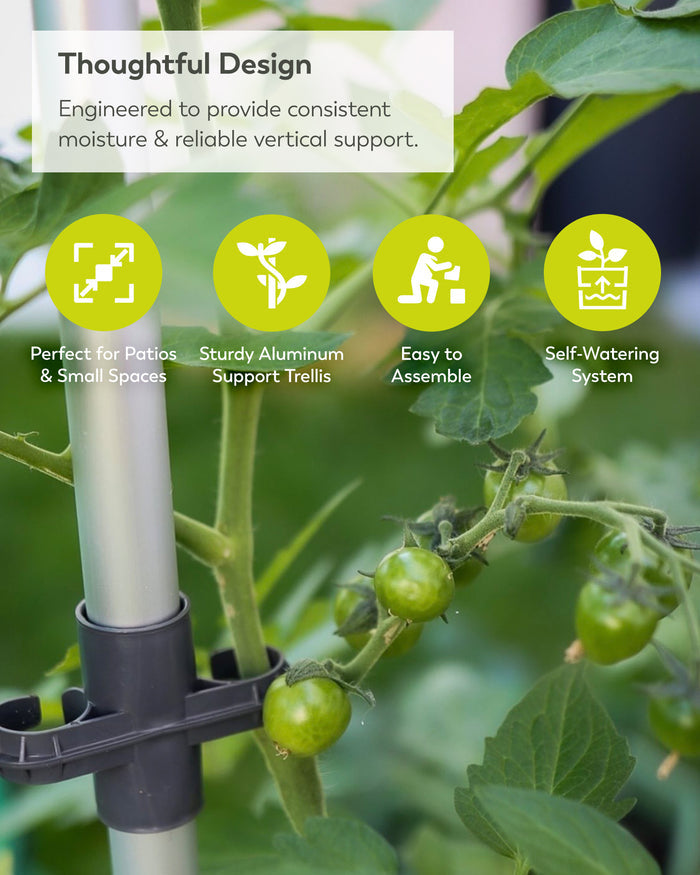 Self-Watering Tomato Planter | Trellis Garden for Small Spaces
