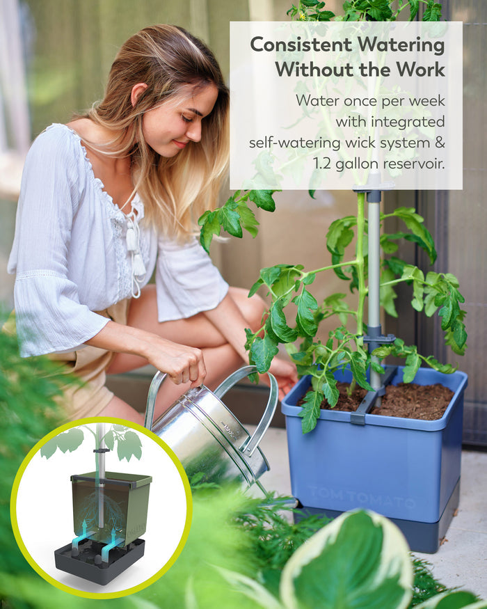 Self-Watering Tomato Planter | Trellis Garden for Small Spaces