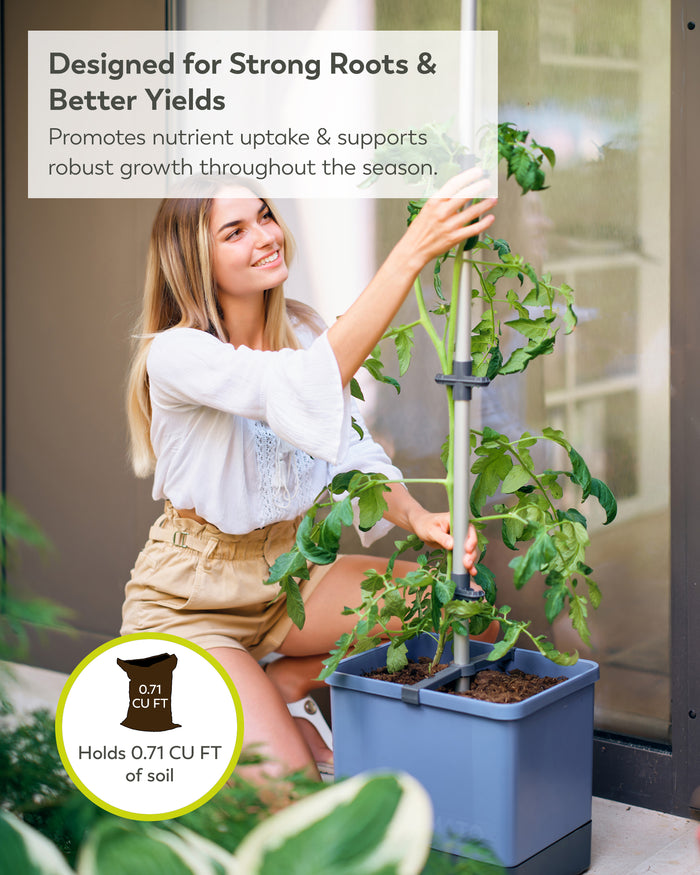 Self-Watering Tomato Planter | Trellis Garden for Small Spaces