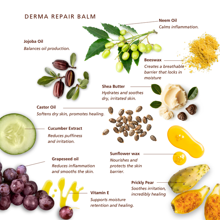 SKN144 SKNLOGIC Derma Repair Balm | An informational product graphic for Derma Repair Balm on a white background, showing ingredient illustrations and labels including jojoba oil, neem oil, beeswax, shea butter, castor oil, cucumber extract, grapeseed oil, vitamin E, sunflower wax, and prickly pear.