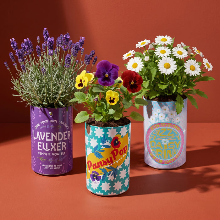 Soda Can Flower Grow Kit | Pansy (6 Pack)