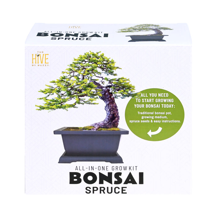 Spruce Bonsai Grow Kit | Complete Set