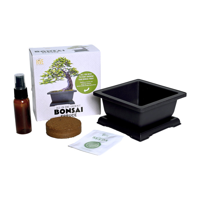 Spruce Bonsai Grow Kit | Complete Set