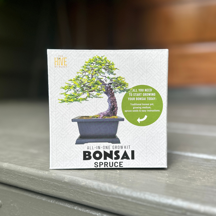 Spruce Bonsai Grow Kit | Complete Set