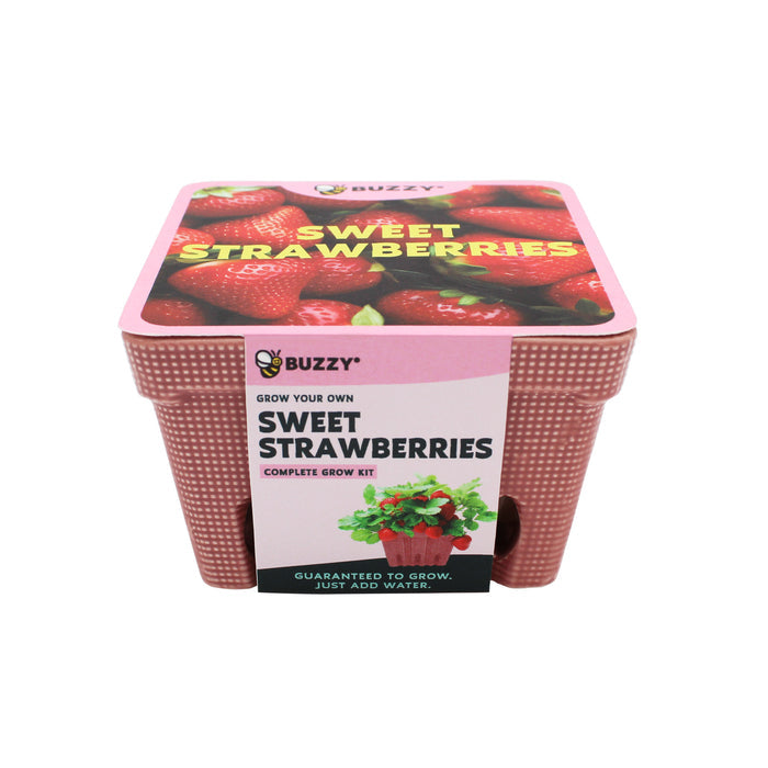 Strawberry Grow Kit | Ceramic Basket Planter