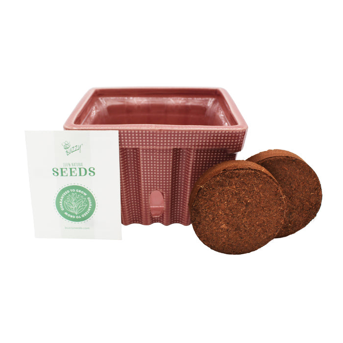 Strawberry Grow Kit | Ceramic Basket Planter
