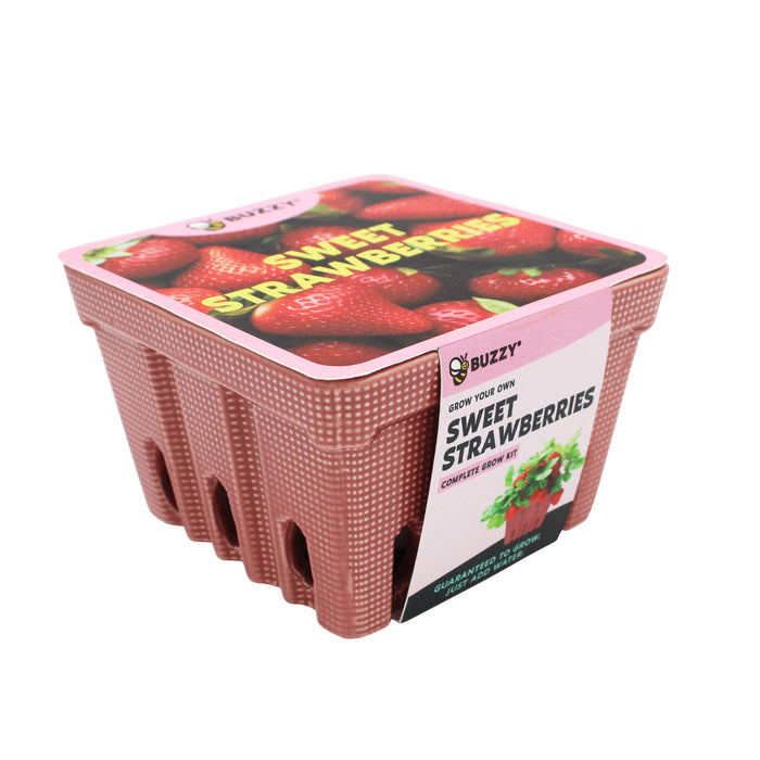 Strawberry Grow Kit | Ceramic Basket Planter