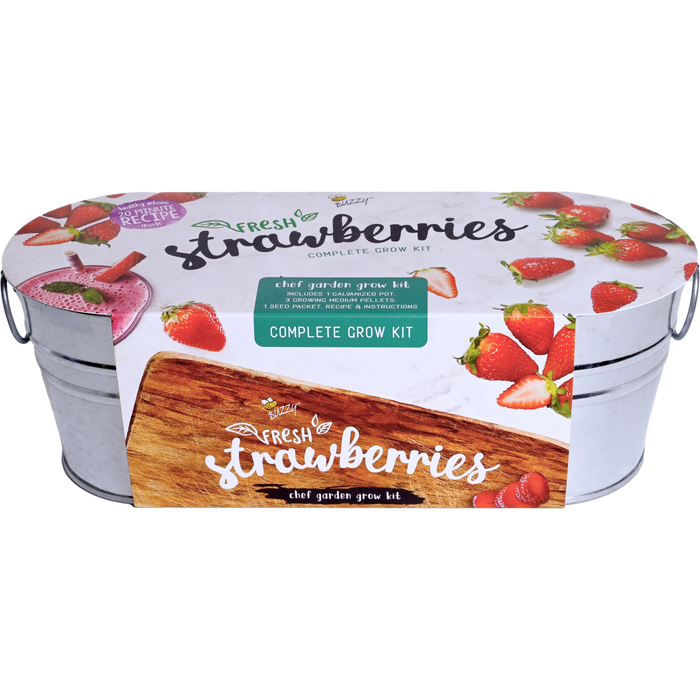 Strawberry Grow Kit | Galvanized Windowsill Planter