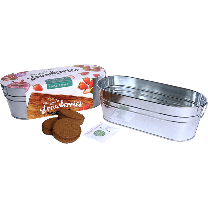 Strawberry Grow Kit | Galvanized Windowsill Planter