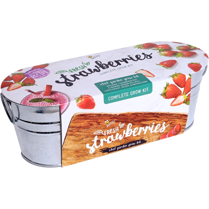 Strawberry Grow Kit | Galvanized Windowsill Planter