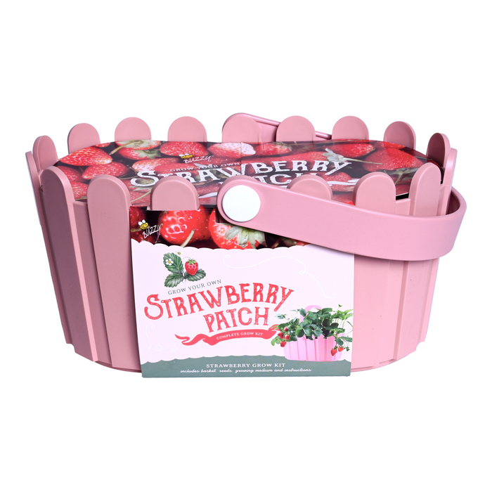 Strawberry Grow Kit | Pink Basket Planter