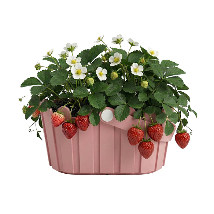 Strawberry Grow Kit | Pink Basket Planter