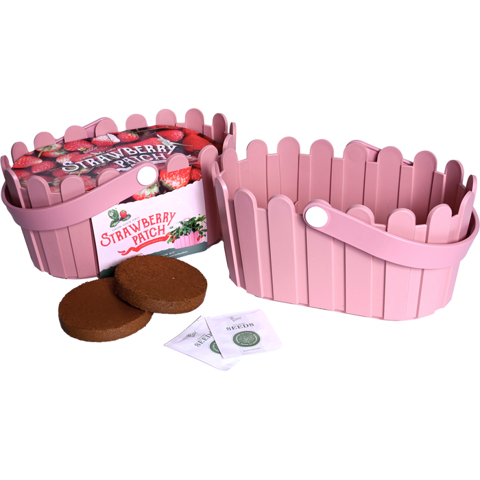 Strawberry Grow Kit | Pink Basket Planter
