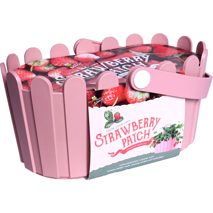 Strawberry Grow Kit | Pink Basket Planter