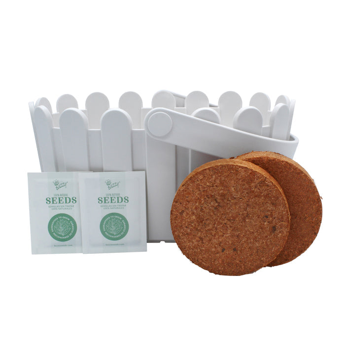 Strawberry Grow Kit | White Basket Planter