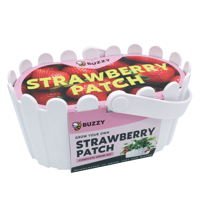 Strawberry Grow Kit | White Basket Planter