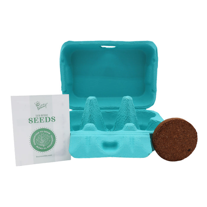 Sunflower Grow Kit | Colorful Egg Carton (2 Pack)