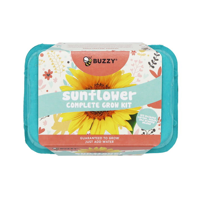 Sunflower Grow Kit | Colorful Egg Carton (2 Pack)