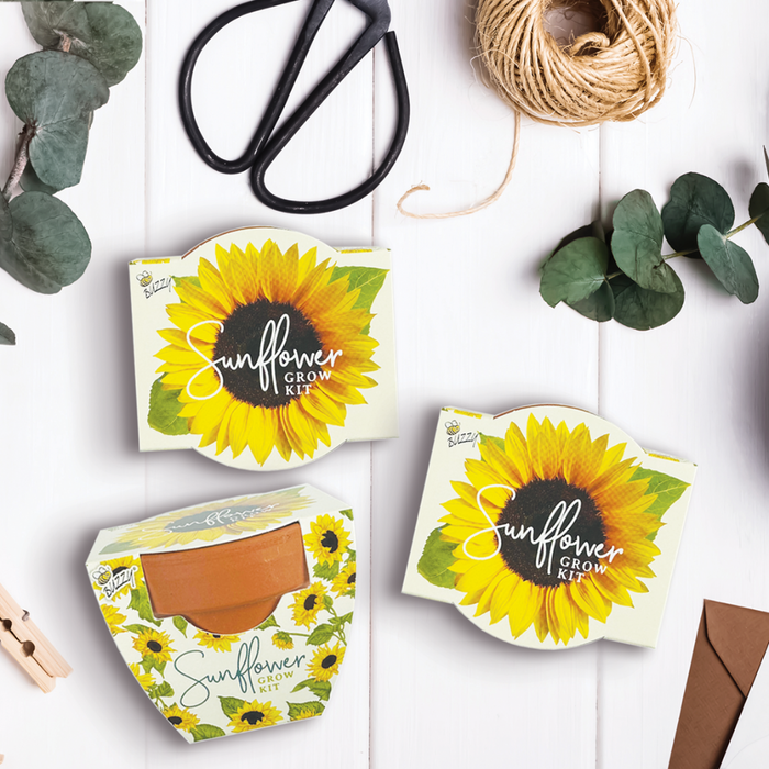 Sunflower Grow Kits | Daydream Mini Terracotta Pots (12 Pack)