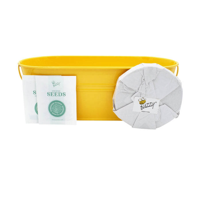 Taco Night Grow Kit | Yellow Windowsill Planter