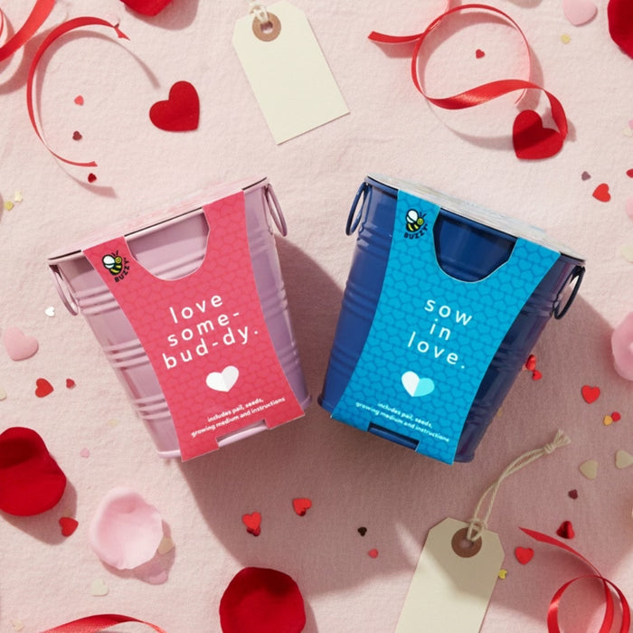 Flower Grow Kit | Mini Rose & Forget-Me-Not (2 Pack)