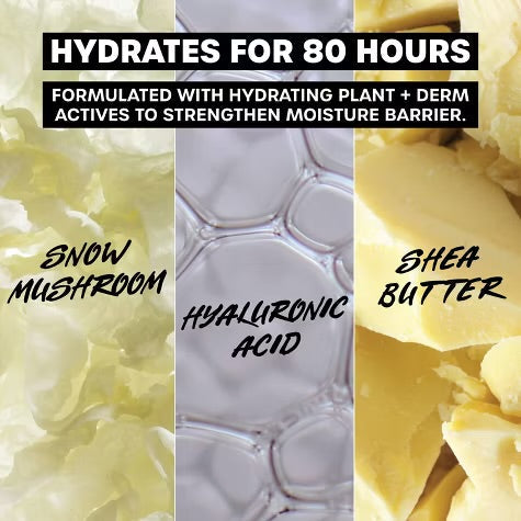 THAYERS PORE-FECT MATCH Unscented Skin Care Duo بكج العناية بالبشرة من ثايرس