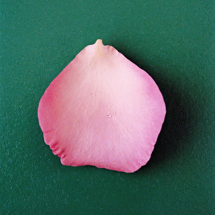 NONFICTION Parfum THE ROSE Eau de Parfum