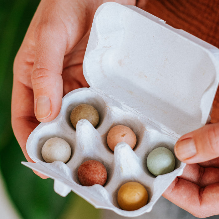 Wildflower Seed Ball Gift Box | 'A Gift For You' Mini Egg Carton (6 Seed Balls)