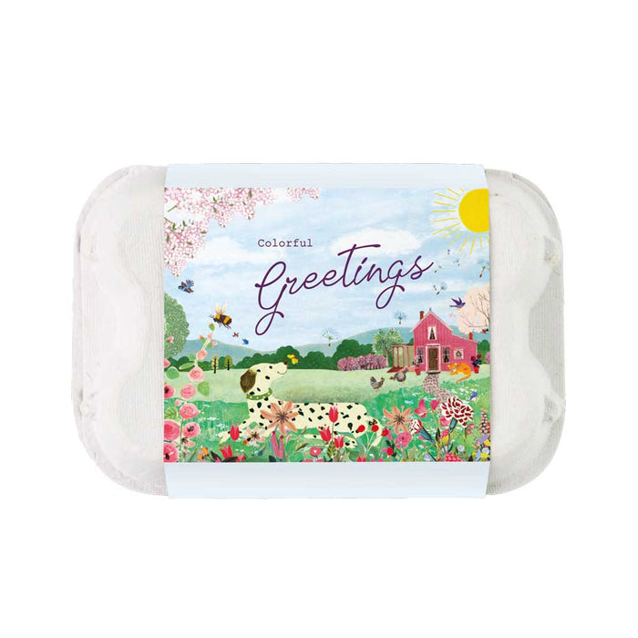 Wildflower Seed Ball Gift Box | 'Colorful Greetings' Mini Egg Carton (6 Seed Balls)