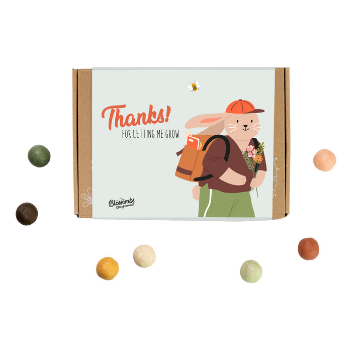 Wildflower Seed Ball Gift Box | End-of-Year Teacher Gift (7 Seed Balls)