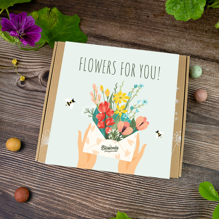 Wildflower Seed Ball Gift Box | 'Flowers For You' (9 Seed Balls)