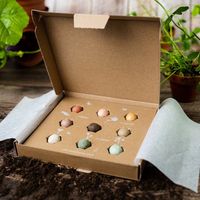 Wildflower Seed Ball Gift Box | 'Flowers For You' (9 Seed Balls)
